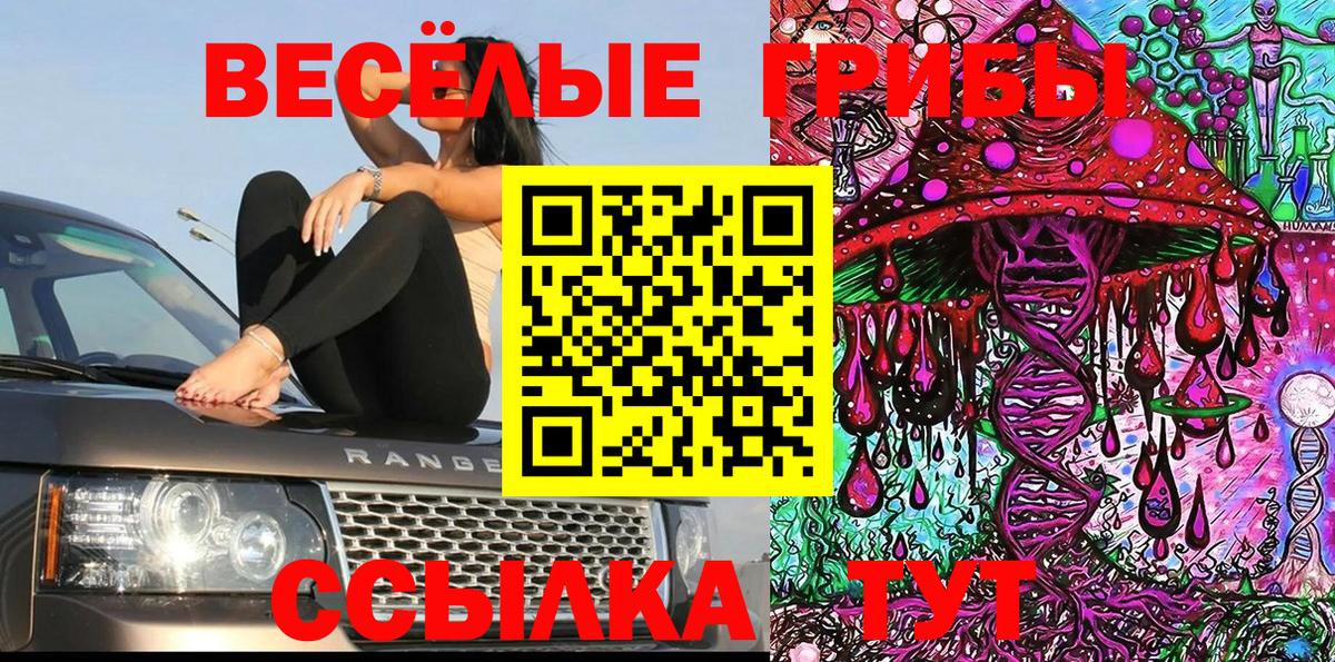 Галлюциногенные грибы прущие грибы  Вход с VPN  Галлюциногенные грибы мицелий  Нижнекамск 