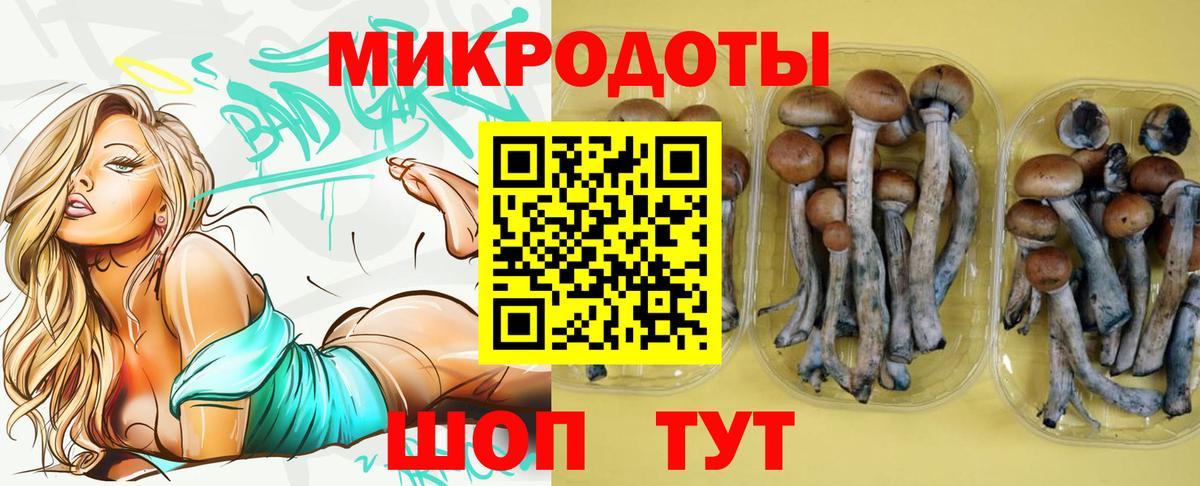 Псилоцибиновые грибы GOLDEN TEACHER Нижнекамск